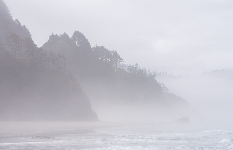 hazy, idyllic, waterfront, water, gray, tranquility, day, 5K, beauty in nature, ocean, foggy, shoreline, beach, woods, waves, pnw, grey, sky, weather