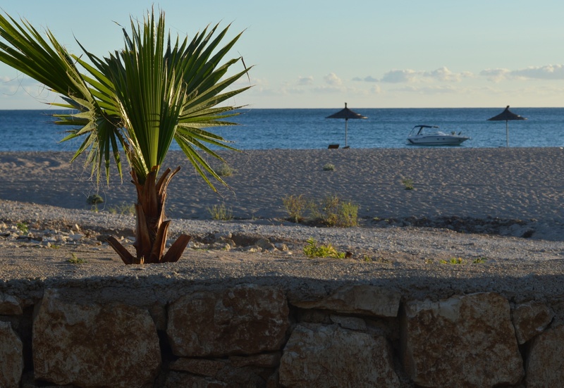 sea, horizon, on the beach, the sun, himara, the coast, day, outdoors, water, horizon over water, solid, palm trees, blue, sunset, land, beauty in nature