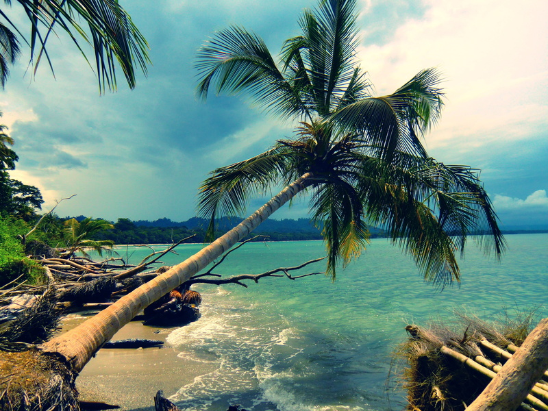 cloud - Sky, palm Tree, turquoise Colored, summer, sunlight, island, tree, vacations, lagoon, sunset, beauty In Nature, beach, scenics, 4K, tropical tree