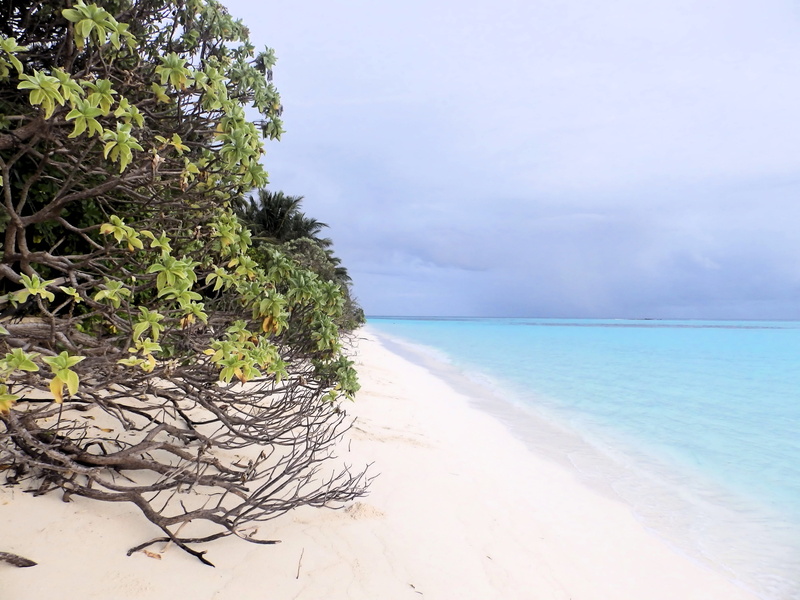 horizon over water, land, tranquil scene, lazur, water, day, horizon, maldives, nature, beach, 4K, holidays, tranquility, view, outdoors, no people, beauty in nature