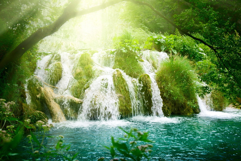 nature, 2K, motion, falling, sunlight, stream, tree, leaf, waterfalls, rainforest, idyllic, no People, freshness, growth, day, water, tranquil Scene, Lazur