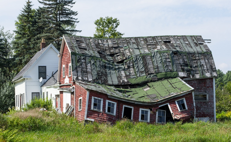 low angle view, uninhabitable house, building exterior, history, plant, tree, collapsed house, nature, built structure, crooked roof, 4K, day, roof with holes