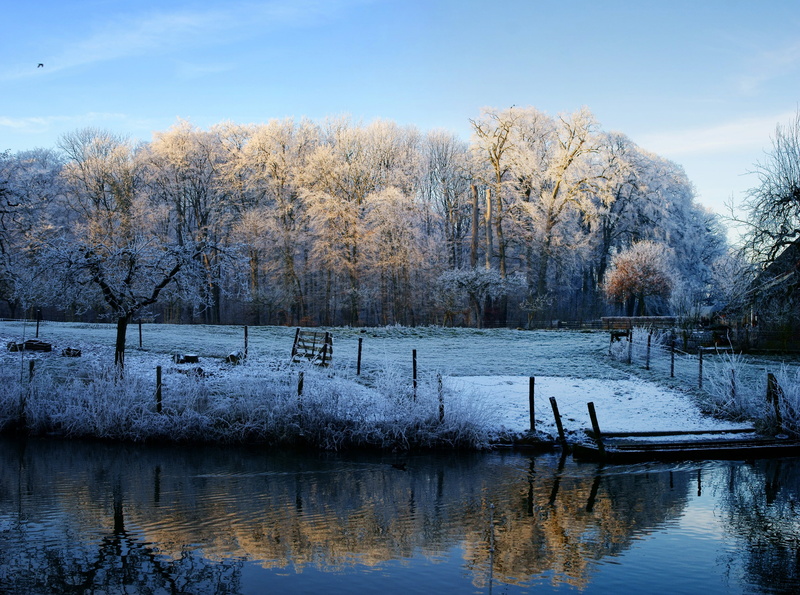 Reflection, Netherlands, tranquility, Beautiful, plant, outdoors, Travel, Frosty, Snow, Utrecht, Reflections, water, Scenery, Blue, tranquil scene, Beauty