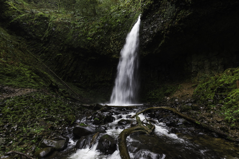 photo, outdoors, land, power in nature, moss, oregon, falls, nature, purity, tree, environment, waterfalls, rainforest, flowing water, landscape, plant