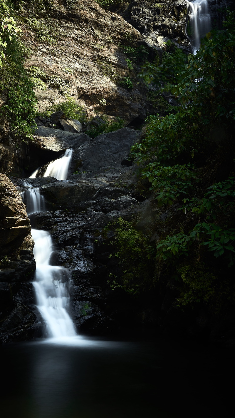 falling water, india, water, landscape photography, flowing water, tree, lake, beauty in nature, plant, south india, landscape, motion, power in nature
