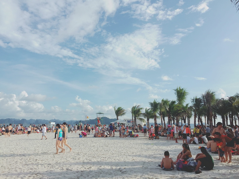 women, beach, nature, vietnamese, tree, environment, coast, trip, 2K, crowd, the cloud, clouds, large group of people, the sea, beauty, coconut tree, quang ninh