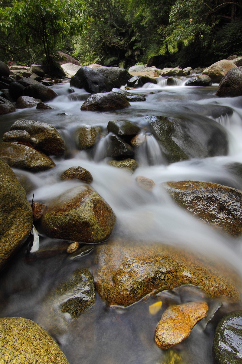 plant, long exposure, 4K, malaysia, surrounded, slow, sekayu, water, purity, day, photography, land, waterfall, no people, flowing water, rock - object