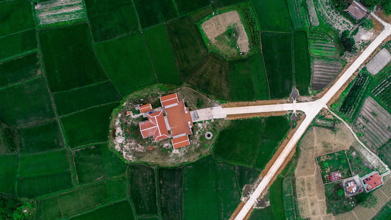 roof, green color, building exterior, unnamed road, building, vân đồn, 5K, green, water, tree, old, agriculture, s, photography, outdoors, animal, built structure