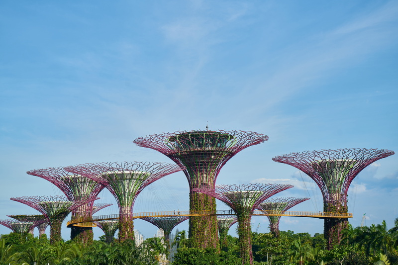 built structure, bridge, building exterior, nobody, color image, beauty in nature, plant, summer, landscape, connection, nature, relax, field, current season