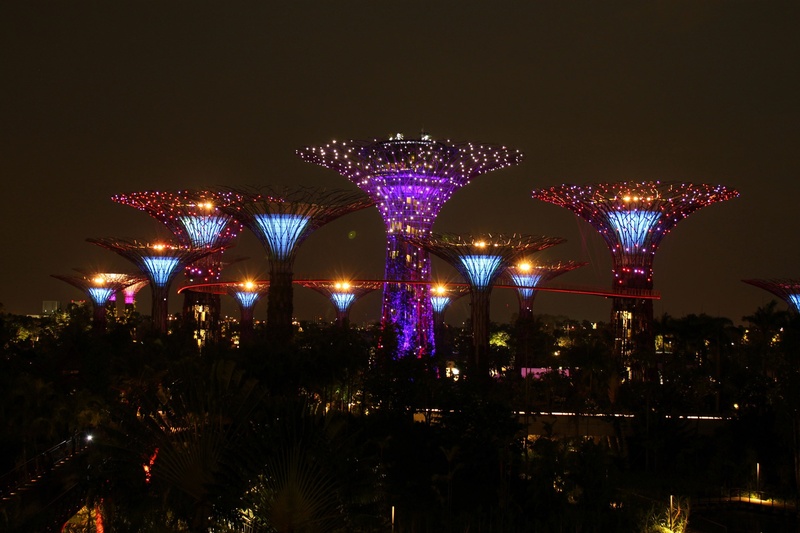 modern, ferris wheel, night, illuminated, amusement park ride, lighting equipment, creativity, artwork, built structure, nightlife, celebration, trees