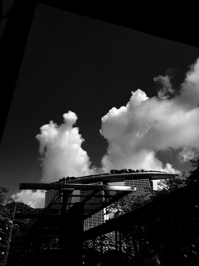 bridge, emitting, landscape, singapore, environment, building, dark, tree, photo, nature, environmental issues, air pollution, day, low angle photography