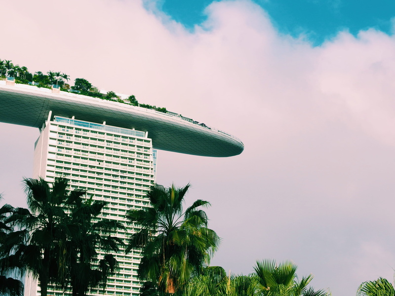 urban, built structure, cloud - sky, palm, high section, trees, palm tree, palmtree, marinabay, building exterior, sky, tree, palms, marina bay sands, tropical climate