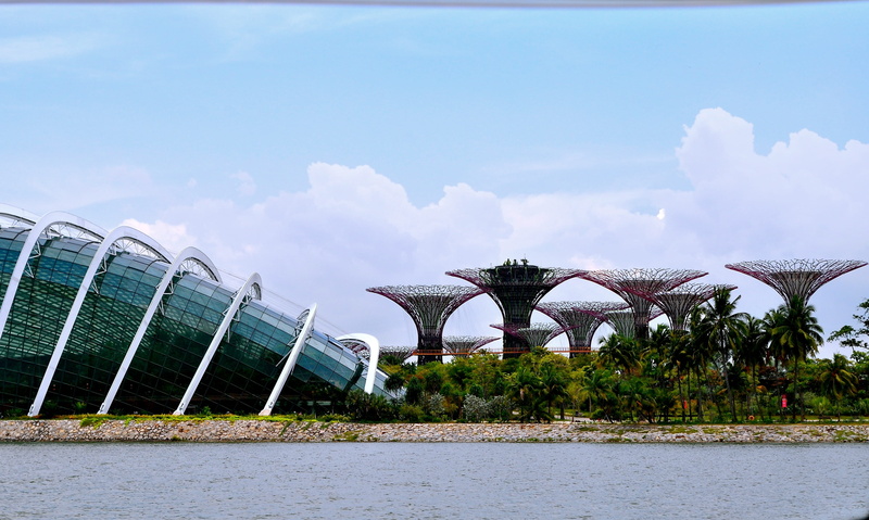 connection, gardens bay, metal tree, metal, outdoors, bridge - man made structure, sky, built structure, architecture design, photo, water, travel destinations