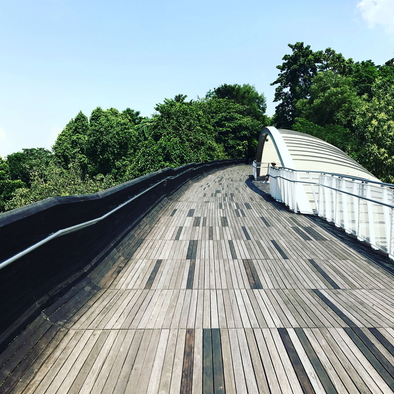 clear sky, no people, direction, outdoors, wavebridge, cloud, trees, walking, wood - material, tree, architecture, growth, singapore, tourist attraction