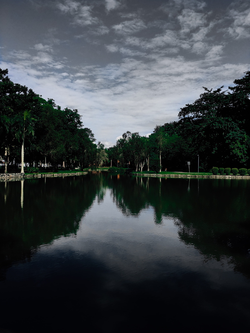plant, evening, scenics - nature, 4K, park, cloud - sky, dawn, body, clouds, outdoors, tranquility, tranquil scene, wide, beautiful, daylight, reflection