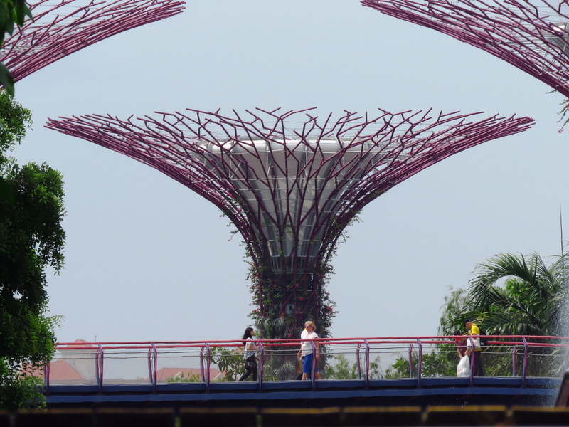 branch, tree, nature, people, built structure, bridge, Garden, nest, bridge - man made structure, outdoors, s, men, daytime, 4K, asia, Bay, no people