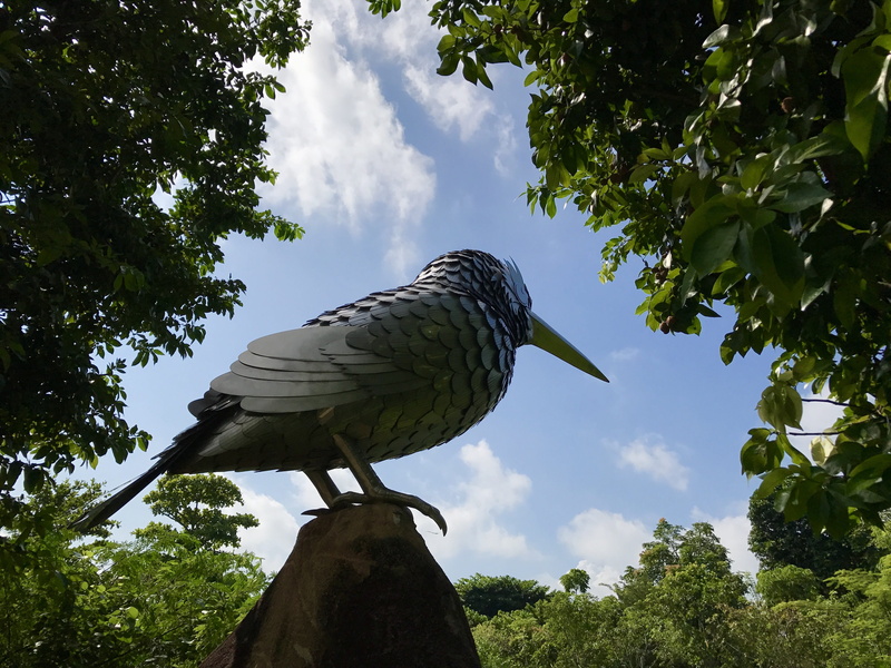 green color, 4K, gardens by the bay, branch, tree, perching, one animal, forest, cloud - sky, vertebrate, beauty in nature, Sky, singapore, animal wildlife