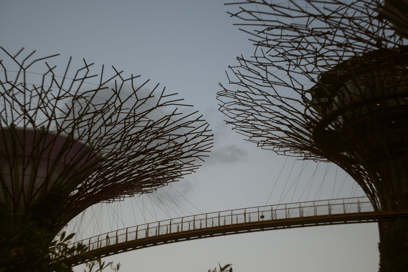 modern, gardens by the bay, nature, outdoors, bridge, bridge - man made structure, tourism, connection, city, no people, travel destinations, 4K, day