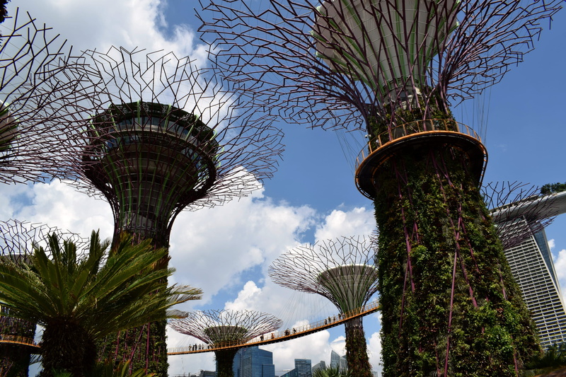 panorama view, day, tourism, tower, built structure, sky, travel destinations, tropical climate, plant, modern, flower, asia, palm tree, nature, garden
