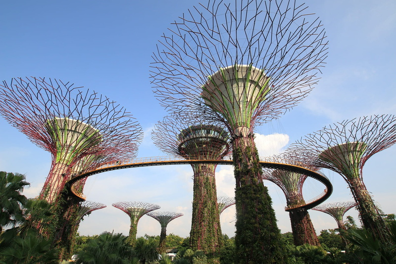 park, Singapore, blue, metal, travel destinations, palm Tree, gardens By The Bay, architecture, Garden, no people, famous Place, travel Locations, nature