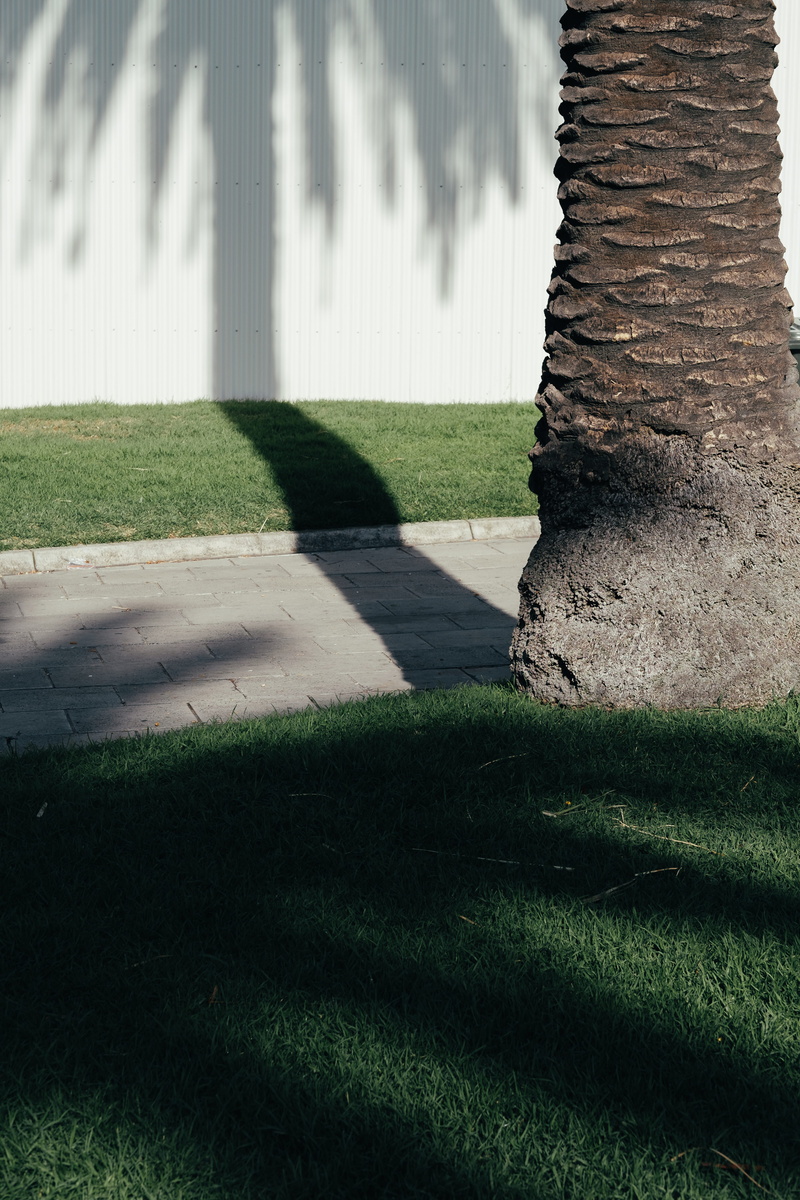 56mm, texture, detail, wall, land, footpath, near, built structure, path, outdoors, palm, walkway, architecture, melbourne, shadow, colour, day, sunny