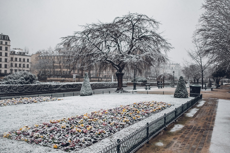 5K, xt2, clear sky, built structure, town, seine, france, quietness, bare tree, paris, winter, snow, city, notre dame de paris, nature, plant, tranquility