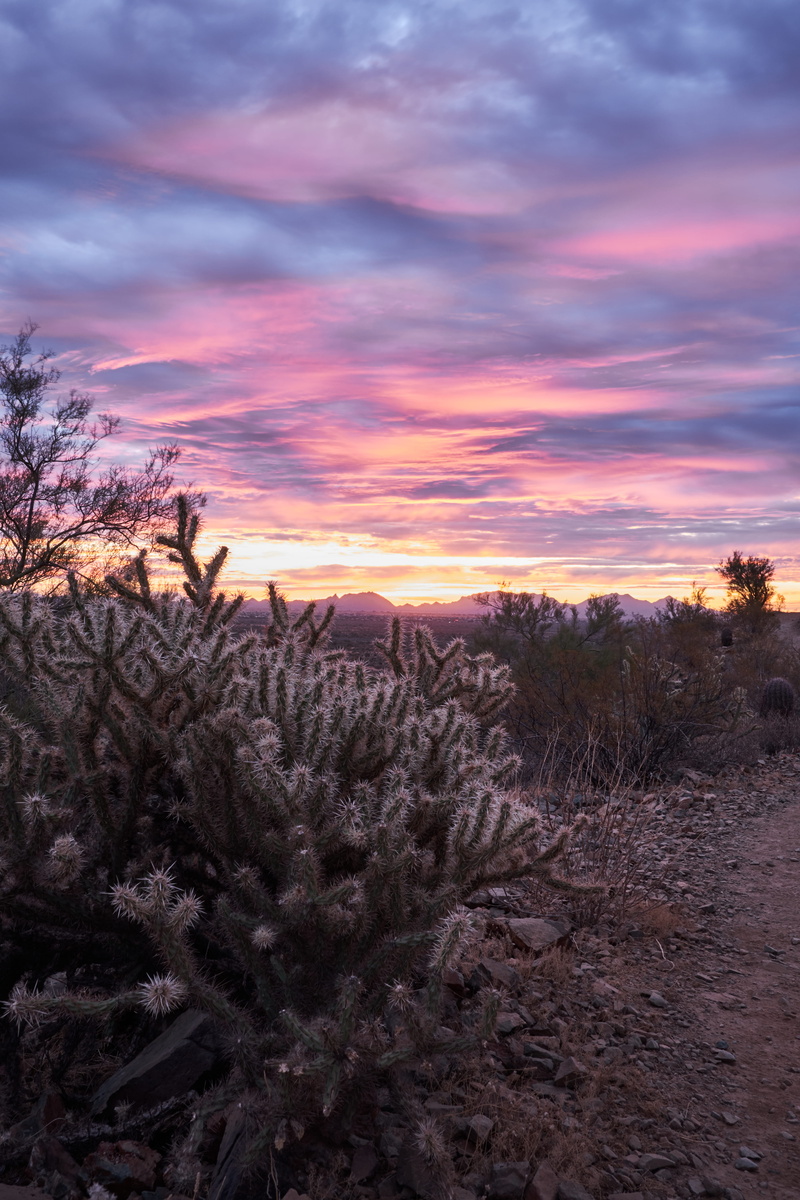 growth, landscape photographer, apache wash trailhead, orange color, 5K, tranquility, fuji x-t2, beauty in nature, sky, pink, xt2, united states, no people