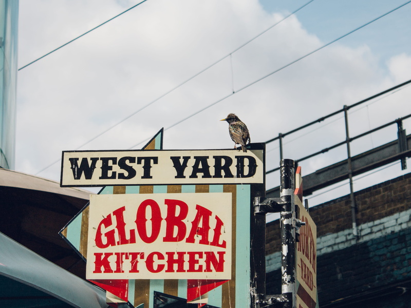 nature, bird, vertebrate, cloud - sky, no people, communication, food, west yard, text, animal themes, camden town, low angle view, circus, signal, western script