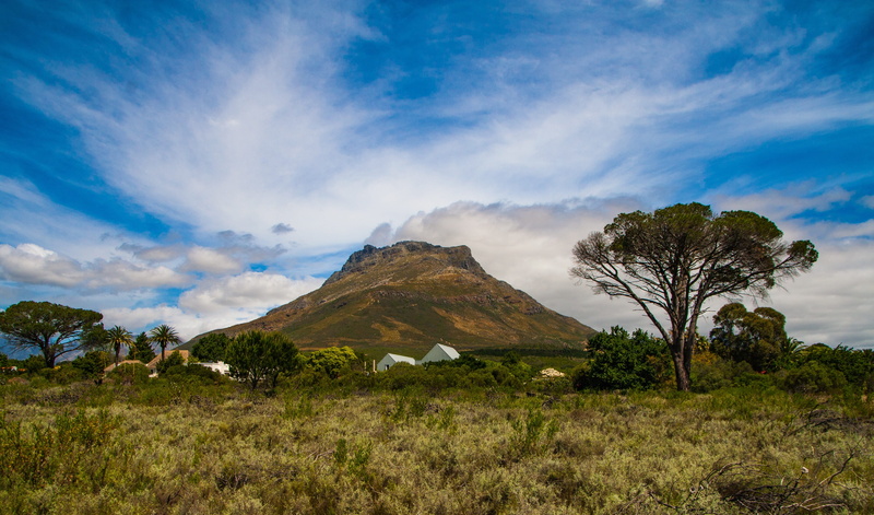 outdoors, tourism, land, scenery, beauty In Nature, semi-arid, blue, Cape, cloud - Sky, tree, environment, south africa, Stellenbosch, plant, scenics - nature
