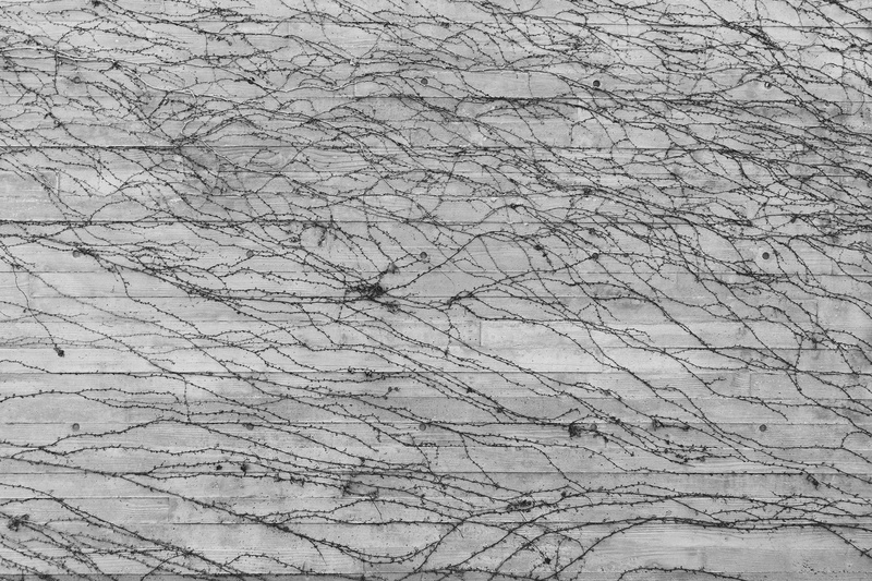 creativity, white color, tendrils, built structure, textured effect, day, 1080P, architecture, outdoors, backgrounds, pattern, close-up, twines, growth
