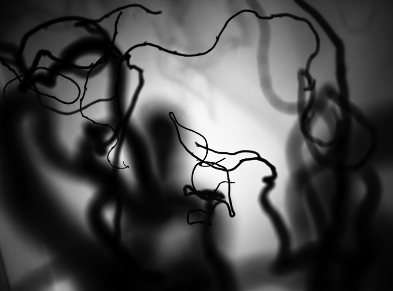 tendril, studio shot, tree, cloud - sky, indoors, Black and White, no people, nature, sky, abstract, complexity, creativity, tangled, focus on foreground