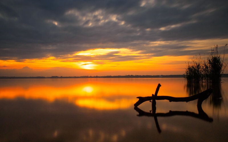 orange, clouds, peaceful, lake, sky, water, sunset, cane, desktop, 4K, reeds, hd, reflection, dark