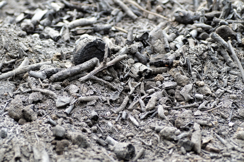 land, field, 5K, tinder, full frame, scorch, still life, backgrounds, high angle view, ash, the remnants of the, pattern, no people, ground, outdoors