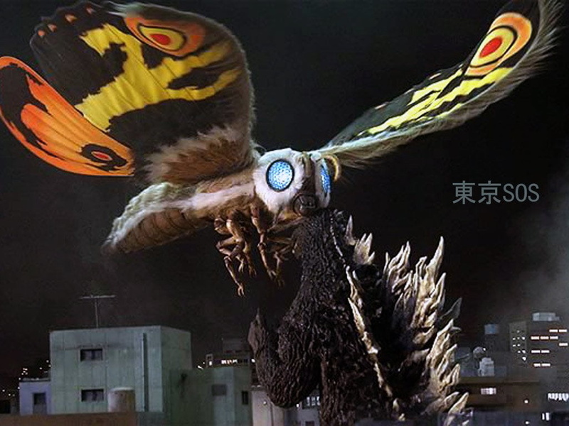 Godzilla Vs. Mothra, halloween, butterfly, butterfly - insect, holiday - event, architecture, no people, witch, night, one animal, animal head