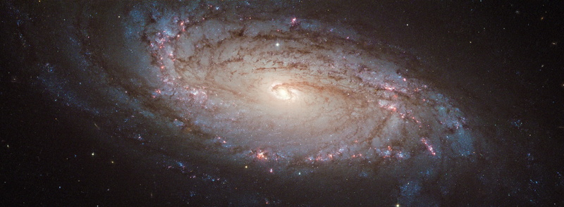 luminosity, astronomy, spiral galaxy, Stars, illuminated, no people, Space, beauty in nature, star - space, sky, sn2004dg, Cosmos, Galaxy, majestic, spiral