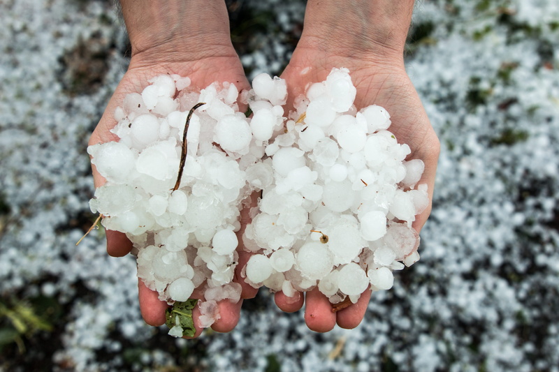 snow, environment, close-up, winter, finger, human hand, holding, weather phenomenon, hand, land, high angle view, hail, hailstone, food, outdoors, weather