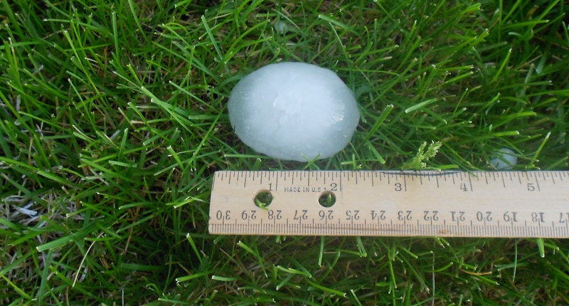 close-up, wellbeing, precipitation, weather, climate, hail, freshness, hailstorm, plant, damage, green color, growth, frost, grass, closeup, no people