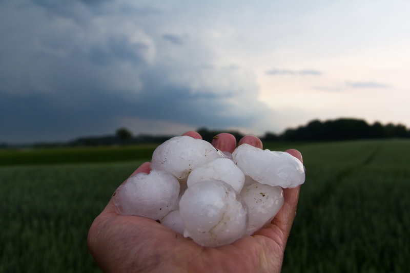 one person, outdoors, hail, hand, focus on foreground, finger, 5K, food and drink, human hand, holding, background, field, sky, meteorology, precipitate