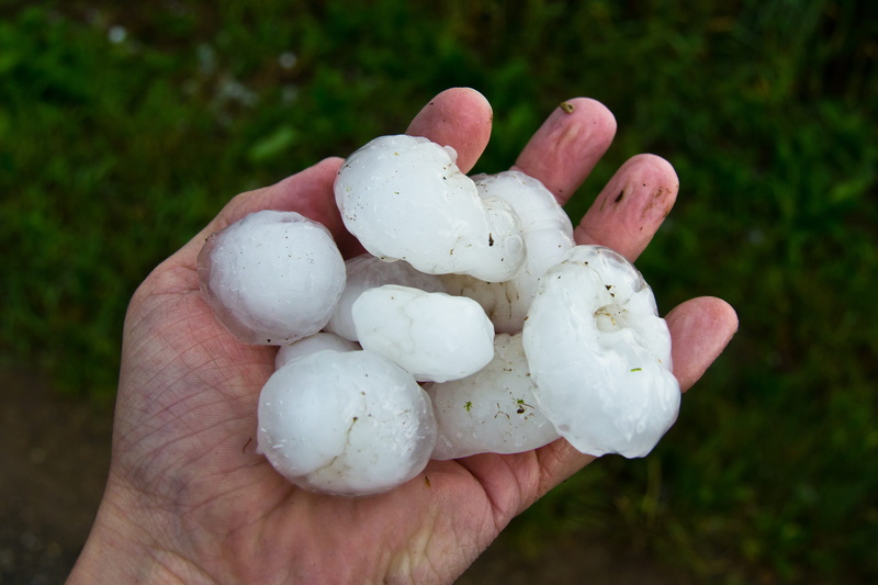 human body part, body part, food, large, freshness, one person, hail, vegetable, close-up, meteorology, personal perspective, ice lumps, focus on foreground