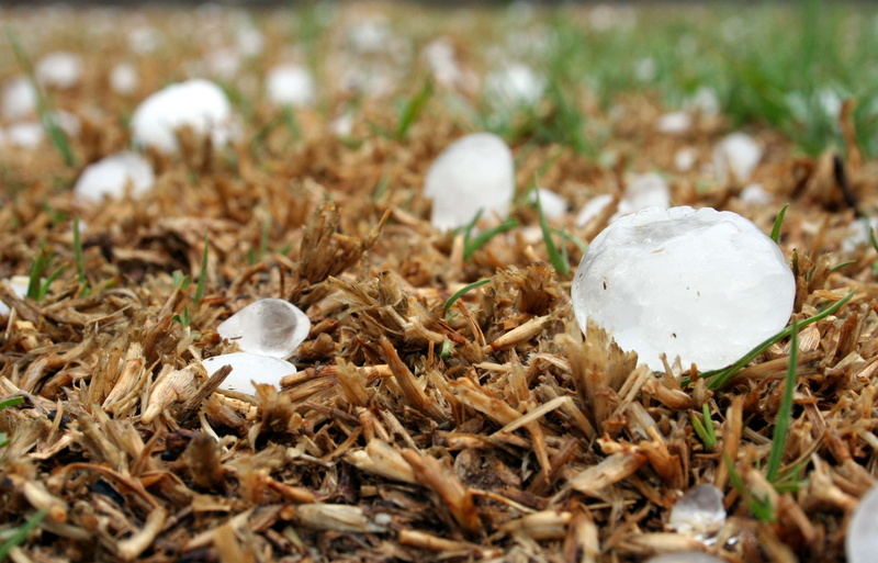 outdoors, 2K, food and drink, focus on foreground, hailstone, selective focus, growth, hail, grass, no people, close-up, day, beginnings, plant, food