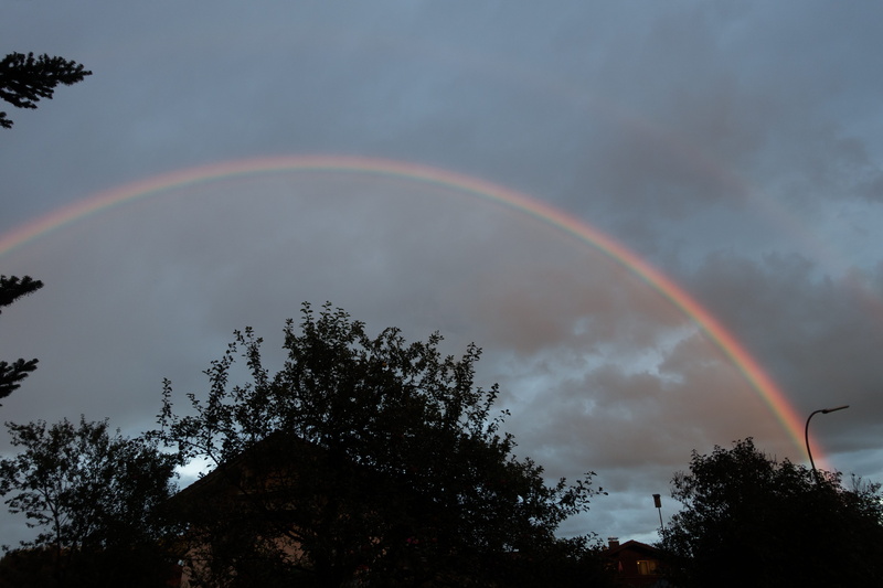 growth, colorful, mood, non-urban scene, scenics - nature, double bow, abendstimmung, evening, beauty in nature, double rainbow, plant, low angle view