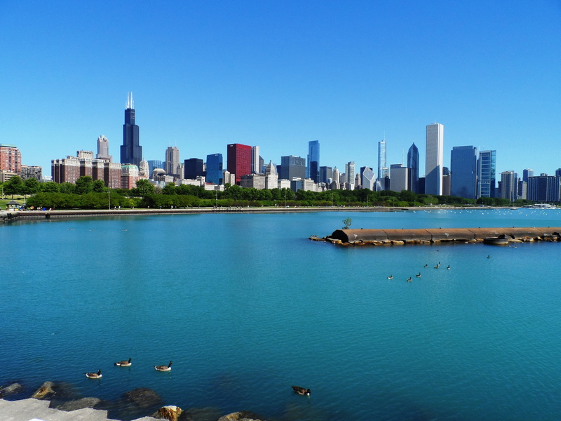 waterfront, urban Scene, vertebrate, animal themes, built Structure, no people, lake, blue, architecture, cityscape, rick lobes, building, urban Skyline
