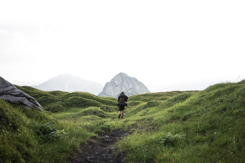 plant, nature, outdoors, tranquil scene, beauty in nature, hiking, grass, adventure, green color, mountain, rear view, 5K, claim, scenics - nature, trail