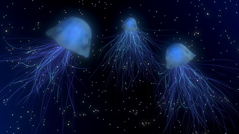 jellyfishes, science, backgrounds, abstract, dark, glowing, three, star - Space, vector, outdoors, no people, sky, low angle view, light, animals in the wild