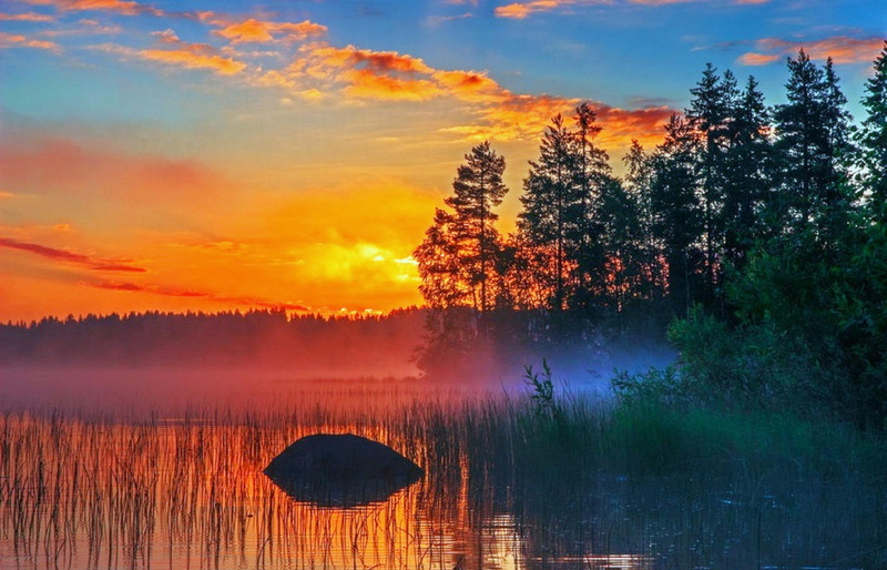 sunrise, grass, finland, goodbye, summer, 2K, places, photography, beautiful, goodbye-summe, nature, lakes, trees, sunshines