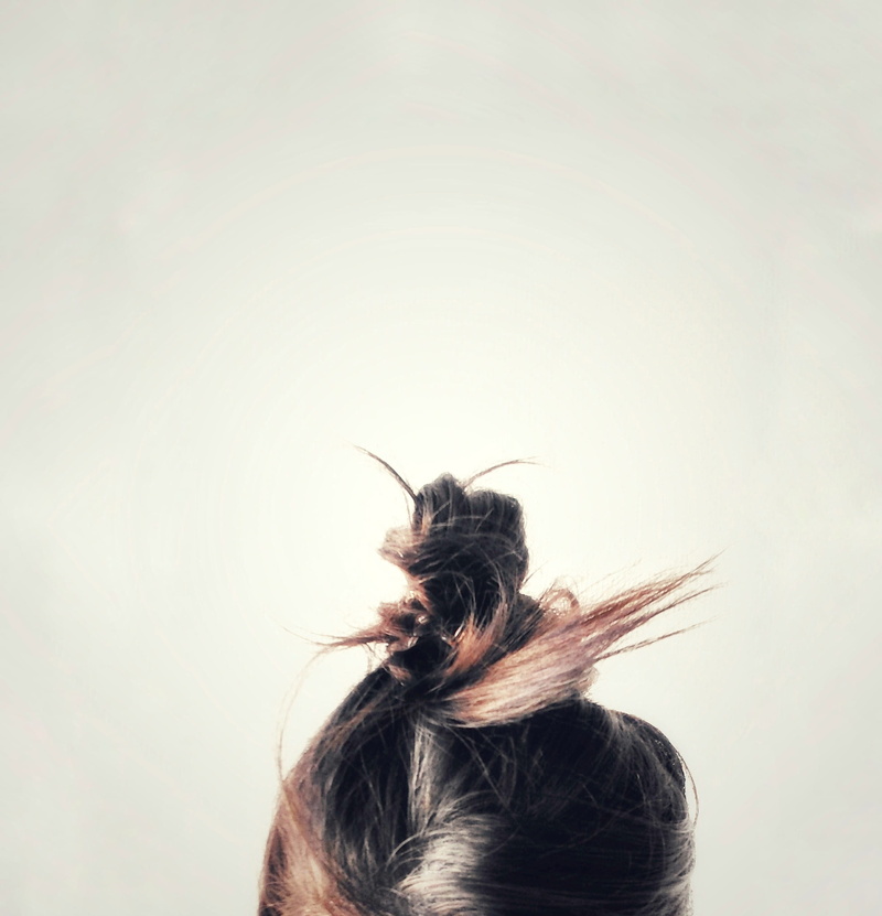leisure activity, copy space, studio shot, 2K, indoors, lille, rear view, one person, women, adult, one animal, messy hair, white background, long hair