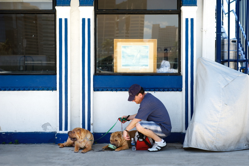 men, one person, dog, day, mammal, vertebrate, pets, real people, 4K, lying down, one animal, pier, relaxation, pet owner, san diego, california, united states