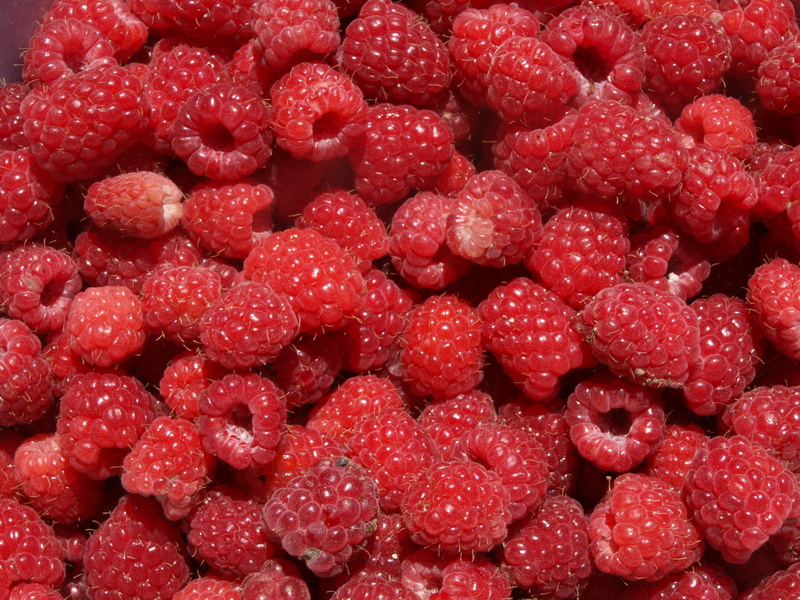 raspberry, berry fruit, juicy, food and drink, fruit, текстура, berries, ягода, directly above, no people, wellbeing, backgrounds, raspberries, макро, abundance