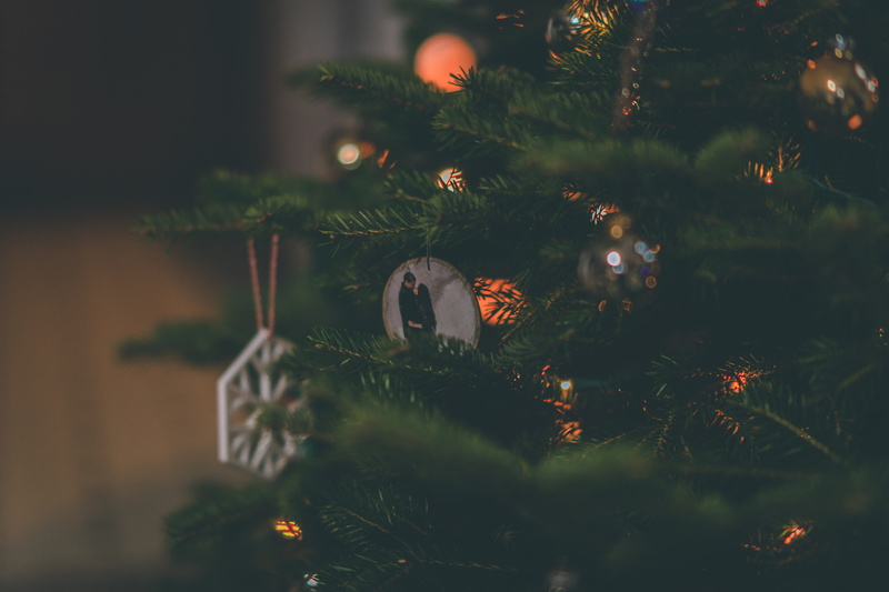 blurred background, lights, glisten, Christmas ornaments, animal, focus, christmas balls, christmas lights, plant, hanging, no people, christmas tree, traditional