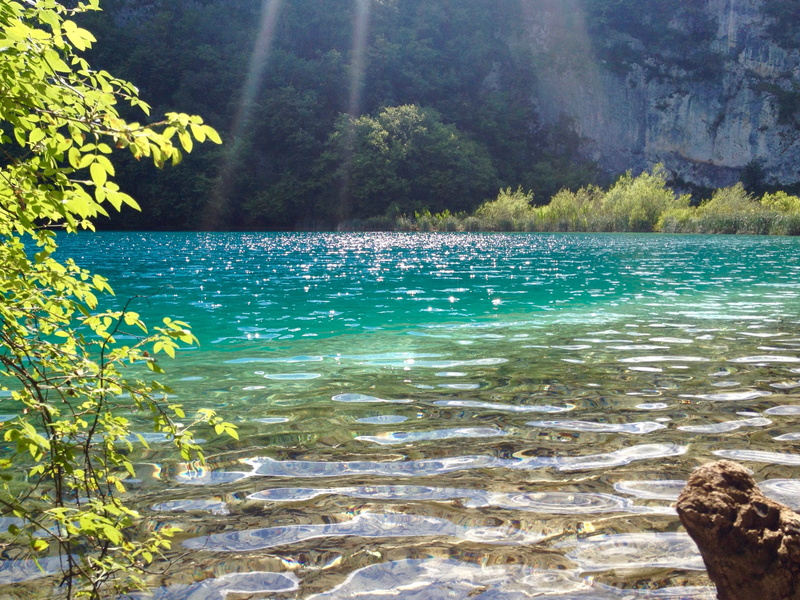 scenics - nature, tranquility, nature, plitvička jezera, glistening, no people, solid, beauty in nature, rock, non-urban scene, outdoors, tree, water, growth